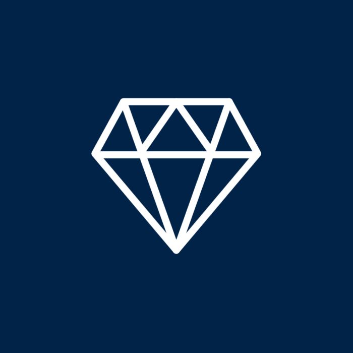 Premium E-commerce Development Packages